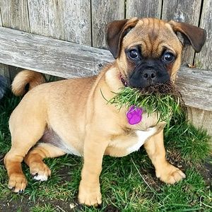 Meet your Posher, Maryann